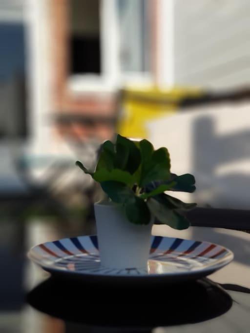 Le Chat Bleu - 26M2- Terrasse Sur Les Toits - Wi-Fi Amiens Exteriör bild